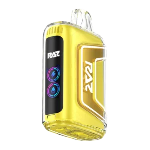 Sour Mango Pineapple - RAZ Vape TN9000