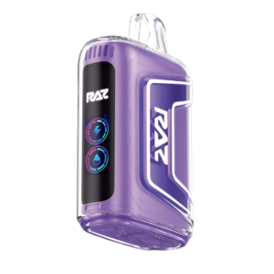 Grape Ice - RAZ Vape TN9000